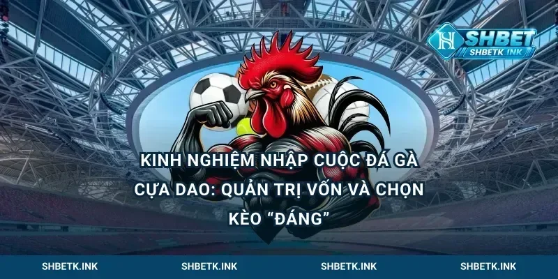Kinh nghiệm nhập cuộc đá gà cựa dao: quản trị vốn và chọn kèo “đáng”