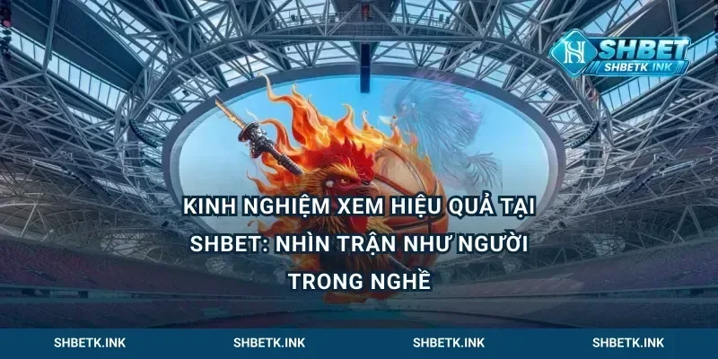 Kinh nghiệm xem hiệu quả tại Shbet: nhìn trận như người trong nghề