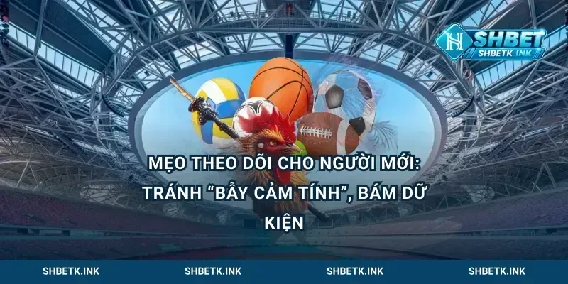 Mẹo theo dõi cho người mới: tránh “bẫy cảm tính”, bám dữ kiện